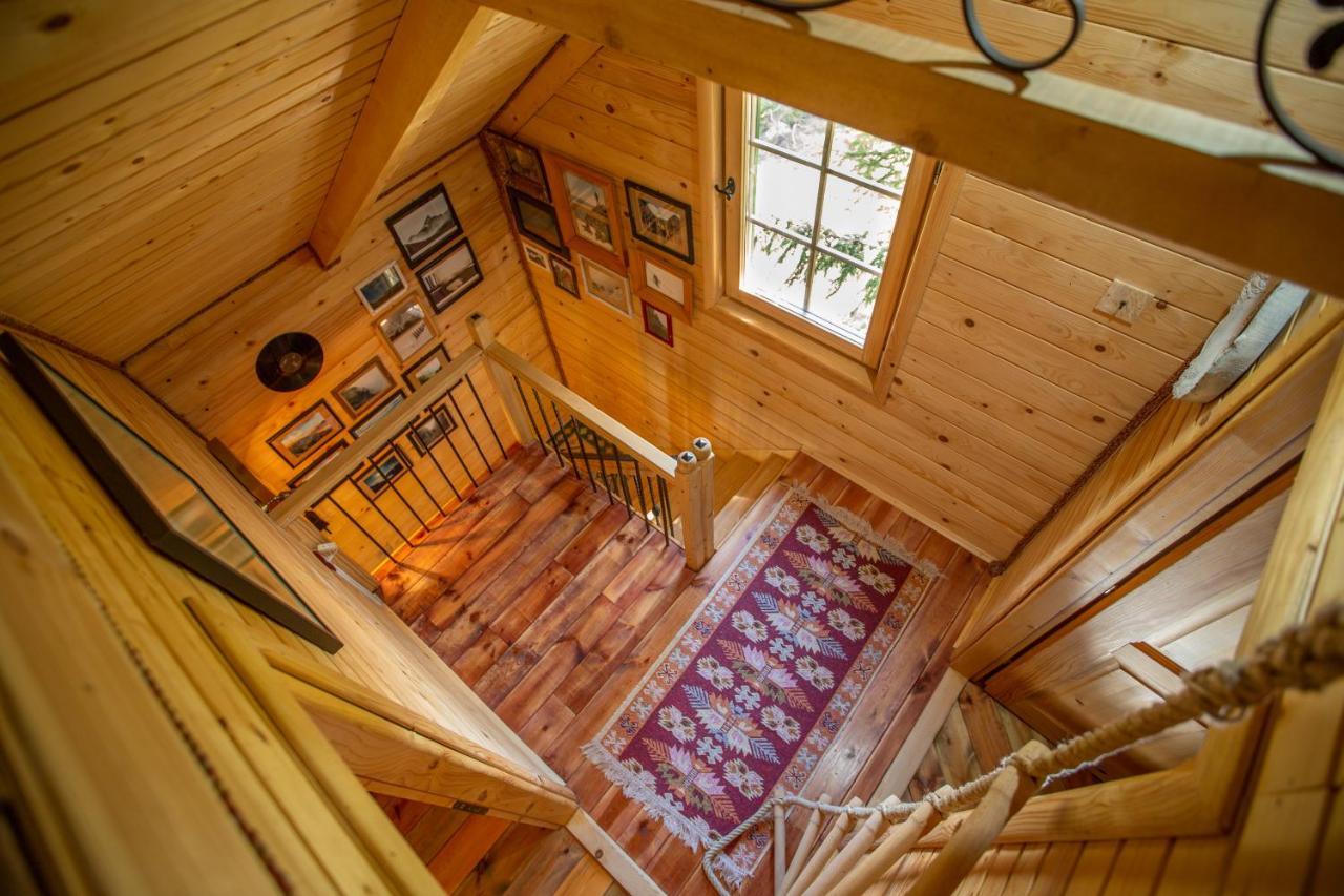 Villa Piccolo Orso Žabljak Exterior foto